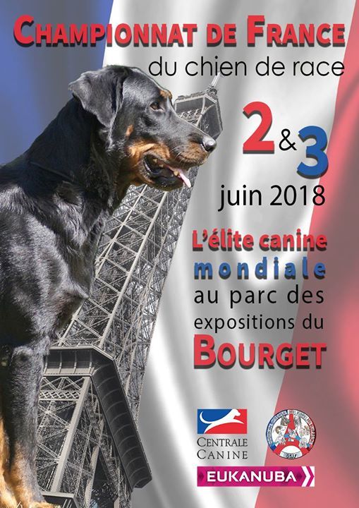 Marvel'house Akitas - Venez nous rencontrer le 3 juin au Bourget