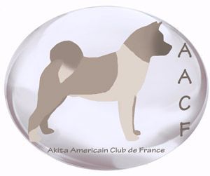 Marvel'house Akitas - Venez nous rencontrer le 17 mars à Montluçon