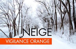Marvel'house Akitas - VIGILANCE NEIGE