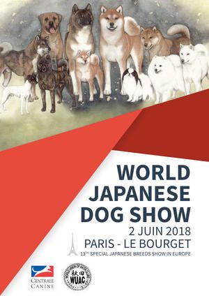 Marvel'house Akitas - Venez nous rencontrer le 2 juin au Bourget