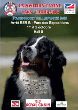 Marvel'house Akitas - Venez nous rencontrer le 1er et le 2 octobre à Villepinte